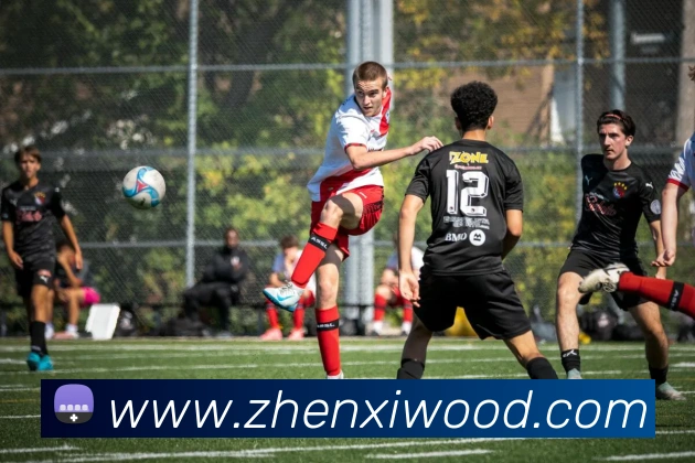 数据防护可视化